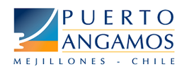Logo Puerto Angamos