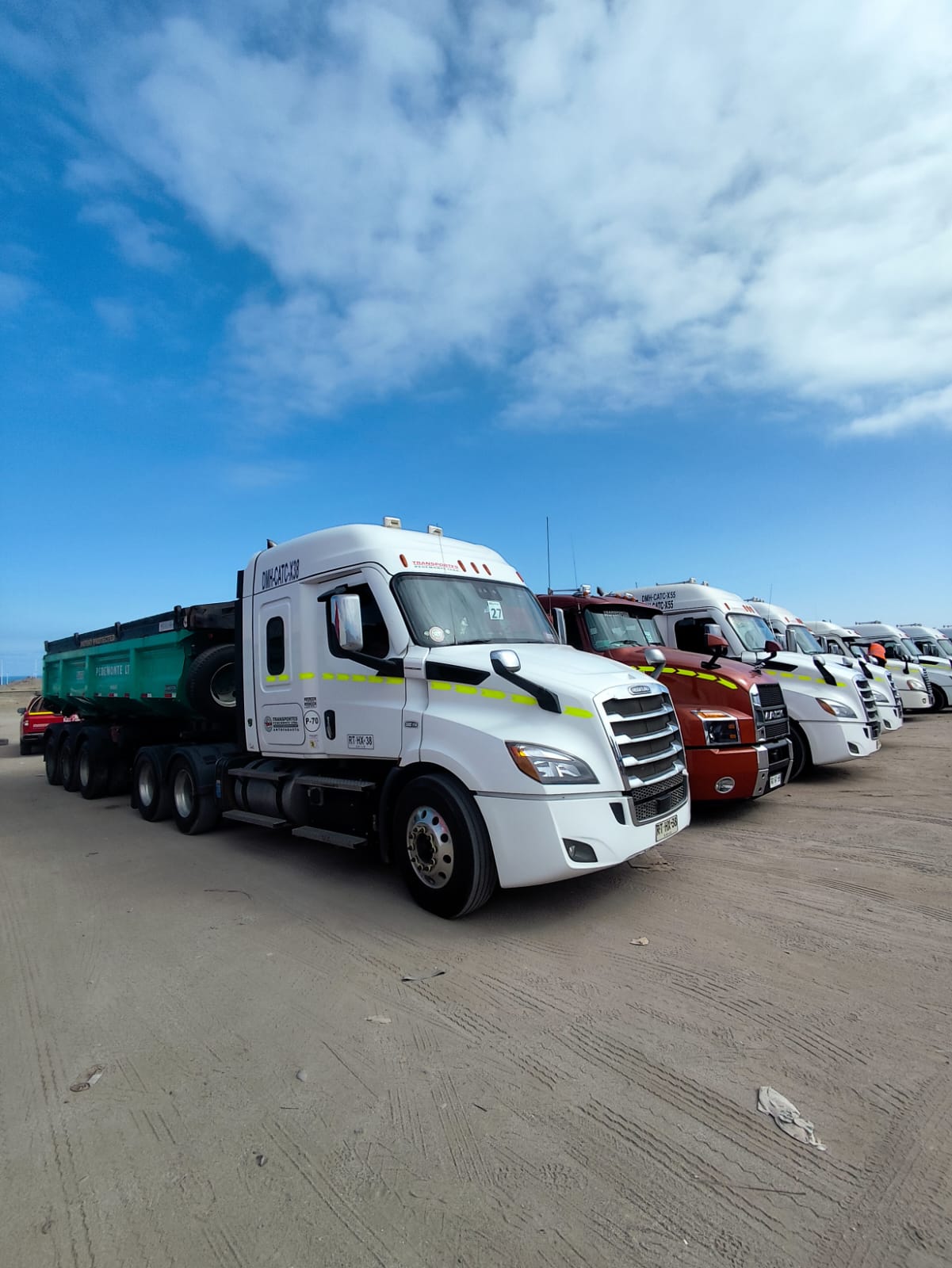 Fila de tractocamiones Pedemonte con batea verde en Antofagasta